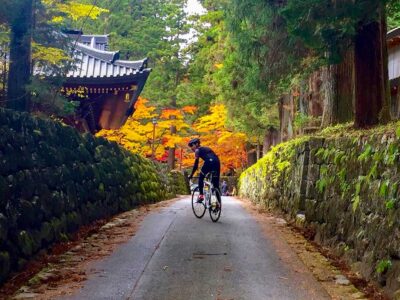 Cyclist passing a temple and stone walls beneath autumn foliage in Nikko