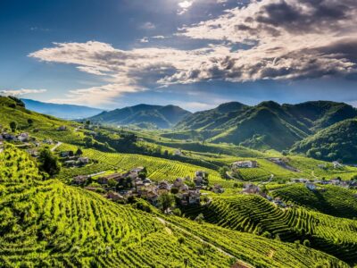 Vineyards covering the rolling hills of Veneto, Italy