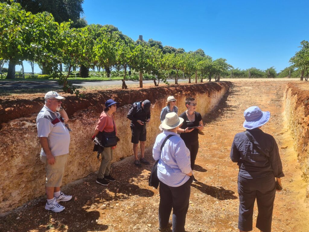Travellers learning about Coonawarra's terra rossa soil in a vineyard