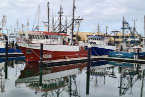 Fishing boats moored in Port Lincoln harbour