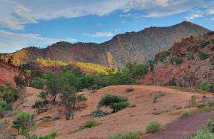 Red rock slopes and native vegetation in the Flinders Ranges