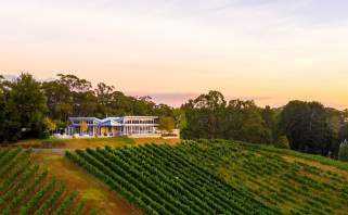 Green vines and stone buildings in the Clare Valley